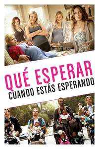 What to Expect When You're Expecting - Poster