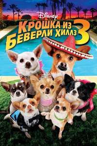 Beverly Hills Chihuahua 3 - Viva La Fiesta! - Poster