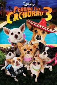 Beverly Hills Chihuahua 3 - Viva La Fiesta! - Poster