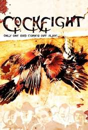 Cockfight