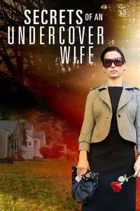 Secrets of an Undercover Wife - Poster