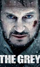 The Grey