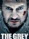 The Grey