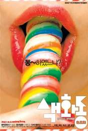 Pornmaking for Dummies