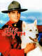 Due South