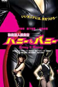 Secret Undercover Agent: Honey & Bunny - Poster