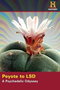Peyote to LSD: A Psychedelic Odyssey - Poster