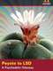 Peyote to LSD: A Psychedelic Odyssey