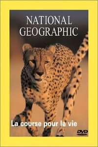 Cheetahs: The Deadly Race - Poster