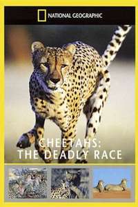 Cheetahs: The Deadly Race - Poster