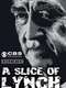 A Slice of Lynch