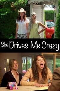 She Drives Me Crazy - Poster