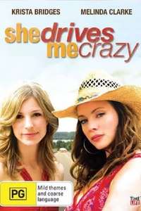 She Drives Me Crazy - Poster