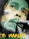 Bob Marley - Freedom Road