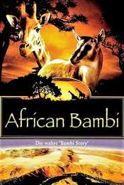 African Bambi