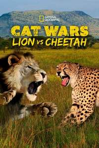 Cat Wars: Lion vs. Cheetah - Poster