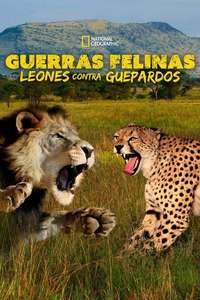 Cat Wars: Lion vs. Cheetah - Poster
