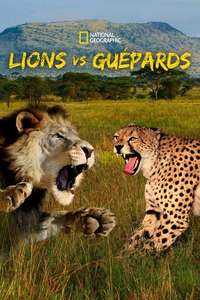 Cat Wars: Lion vs. Cheetah - Poster