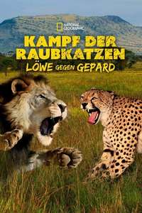 Cat Wars: Lion vs. Cheetah - Poster