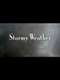 Stormy Weather: The Music of Harold Arlen