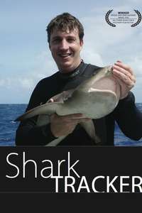 Shark Tracker - Poster