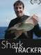 Shark Tracker