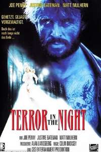 Terror in the Night - Poster