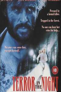 Terror in the Night - Poster