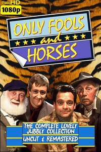 Only Fools and Horses - Poster
