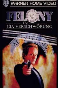 Felony - Poster