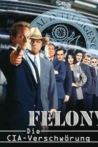 Felony - Poster