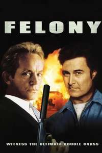 Felony - Poster