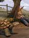 The Story of The Tortoise & the Hare