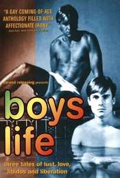 Boys Life: Three Stories of Love  Lust  and Liberation