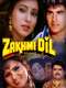 Zakhmi Dil
