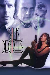 Silk Degrees - Poster
