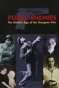 Public Enemies: The Golden Age of the Gangster Film - Poster