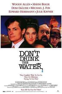 Don't Drink the Water - Poster