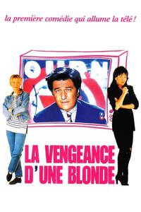 La vengeance d'une blonde - Poster