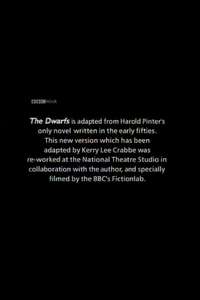 The Dwarfs - Poster
