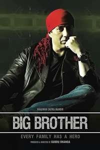 Big Brother - Posters