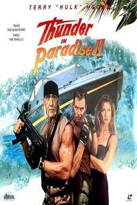 Thunder in Paradise 2 - Poster