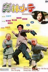 Shaolin Popey - Poster
