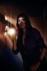 P.I. Meena - Posters