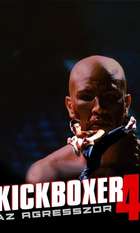 Kickboxer 4: The Aggressor