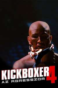 Kickboxer 4: The Aggressor - Poster
