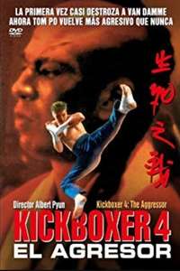 Kickboxer 4: The Aggressor - Poster