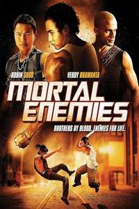 Mortal Enemies - Poster