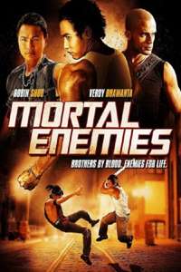 Mortal Enemies - Poster
