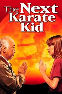 The Next Karate Kid - Poster